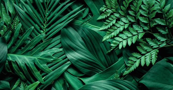 EBT Therapy Workbook